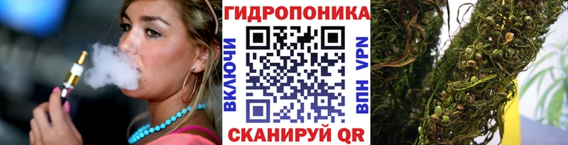 Бошки марихуана Amnesia Приволжск
